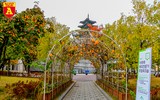 [ẢNH] Choáng ngợp trước vẻ đẹp của mùa thu Hàn Quốc